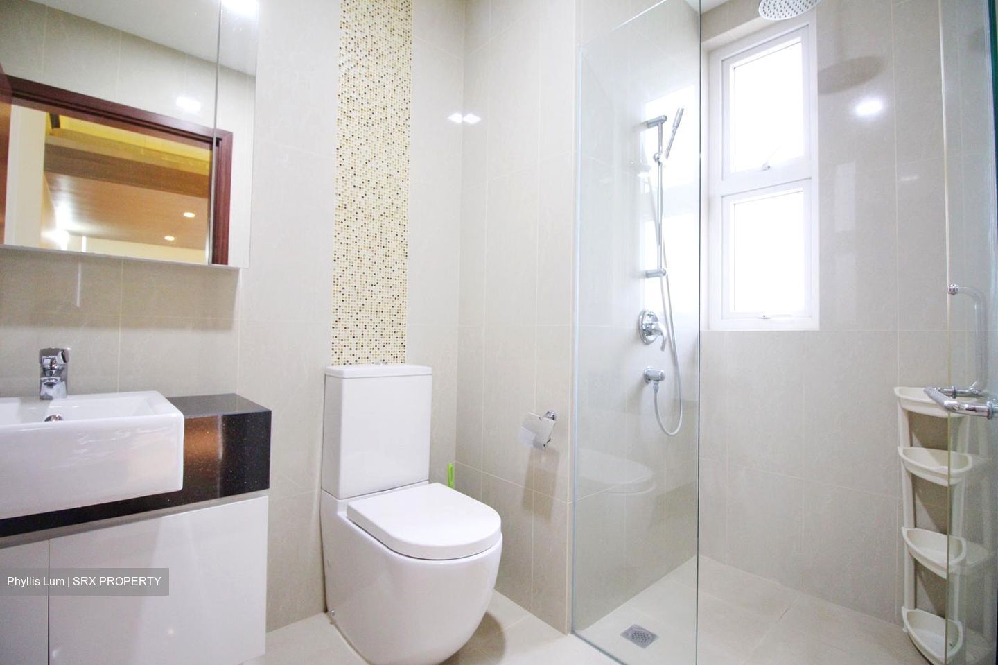 8 Bassein (D11), Apartment #300066071